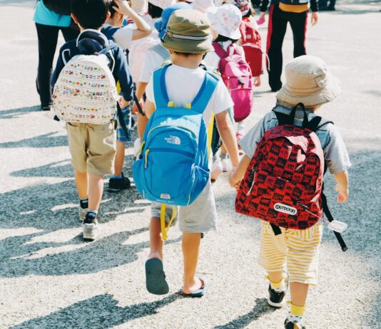 어린이 안전에 6550억 원 투입…‘사고위험 경고’ 횡단보도 설치 등 people walking on gray concrete road during daytime