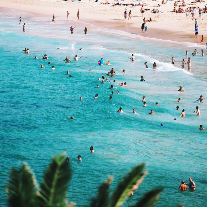 people swimming in the beach