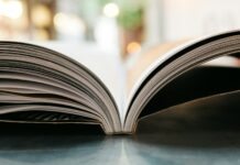 ‘책으로 추억을 거닐다’ 2024 중구 북페스티벌 개최 bokeh photography of open book