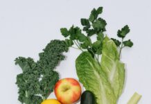 여행 후 건강 회복: 적절한 영양 섭취 flat lay photography of vegetables