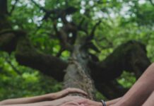 신체 활동의 사회적 혜택: 커뮤니티와 연결 a group of people holding hands on top of a tree