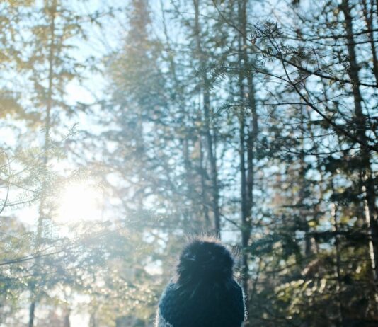 추운 날씨, 자연 속 산책이 주는 심리적 안정 person in black jacket standing in front of trees during daytime