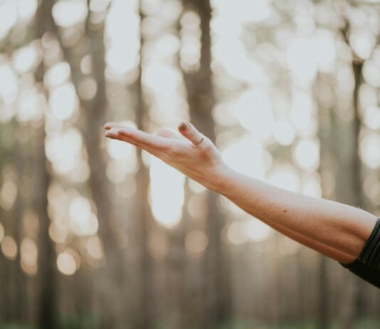 안정적인 삶은 무엇일까? tilt shift lens photography of person lifting hand