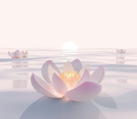 “내 몸에 맞는 대체요법, 일상에서 실천하기” Pink lotus flowers floating on serene water at sunrise