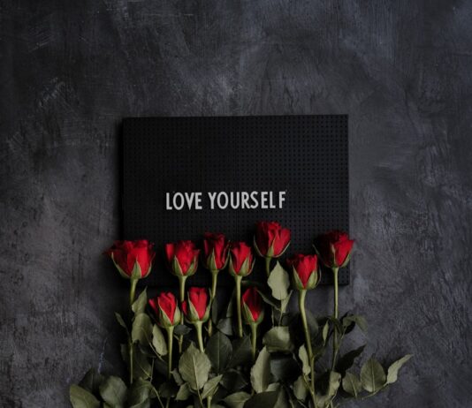 나만의 웰니스, 일상에서 찾는 새로운 건강 문화 red rose on gray textile