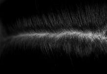 건강한 두피와 모발, 일상 속 작은 변화가 미래를 바꾼다 a black and white photo of some hair