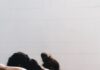 바쁜 일상 속 필라테스, 내 몸을 지키는 건강 루틴으로 자리 잡다 woman in black tank top and black leggings lying on black floor