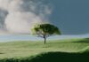 ‘마음 챙김’과 일상 휴식, 건강 관리의 새로운 열쇠로 떠오르다 A single tree on a vibrant green rolling hill.