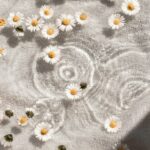 ‘웰니스 문화’ 확산…일상 속 작은 변화가 건강을 만든다 white and blue floral textile