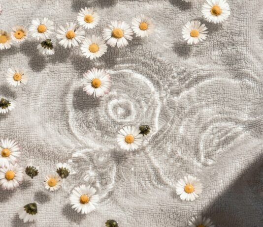 ‘웰니스 문화’ 확산…일상 속 작은 변화가 건강을 만든다 white and blue floral textile